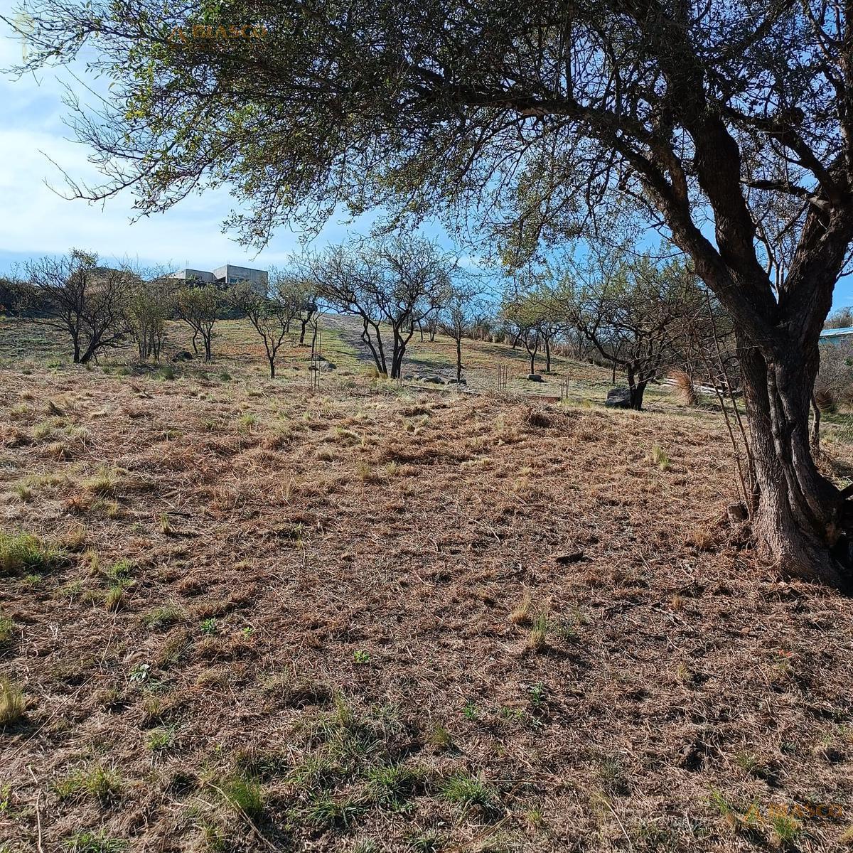 Excelentes Lotes en Venta | Villa del Parque 3