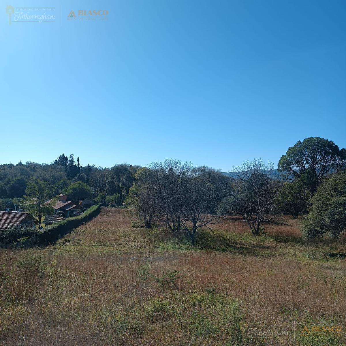 Foto de LOTE UNICO EN VENTA | CENTRO | VILLA GENERAL BELGRANO, imagen 2