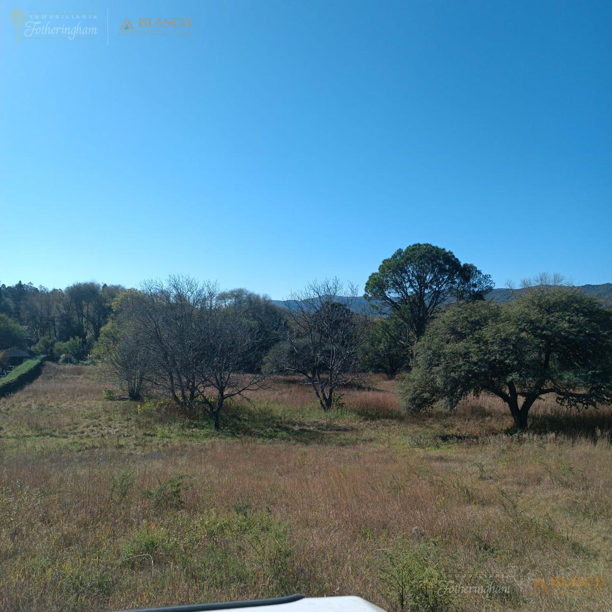 Foto de LOTE UNICO EN VENTA | CENTRO | VILLA GENERAL BELGRANO, imagen 4
