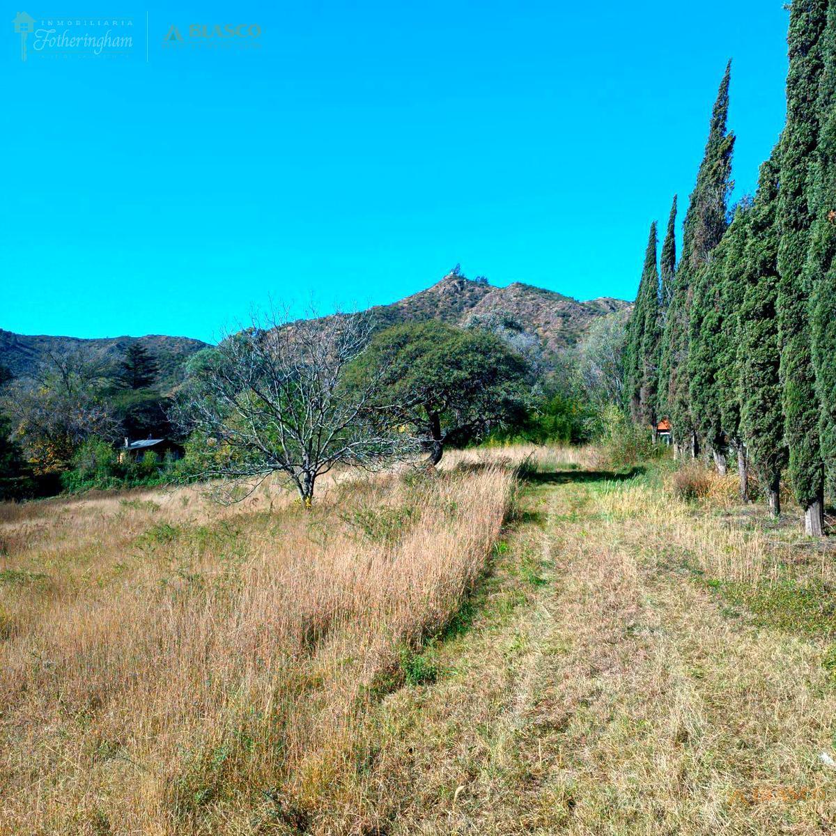 Foto de LOTE UNICO EN VENTA | CENTRO | VILLA GENERAL BELGRANO, imagen 5