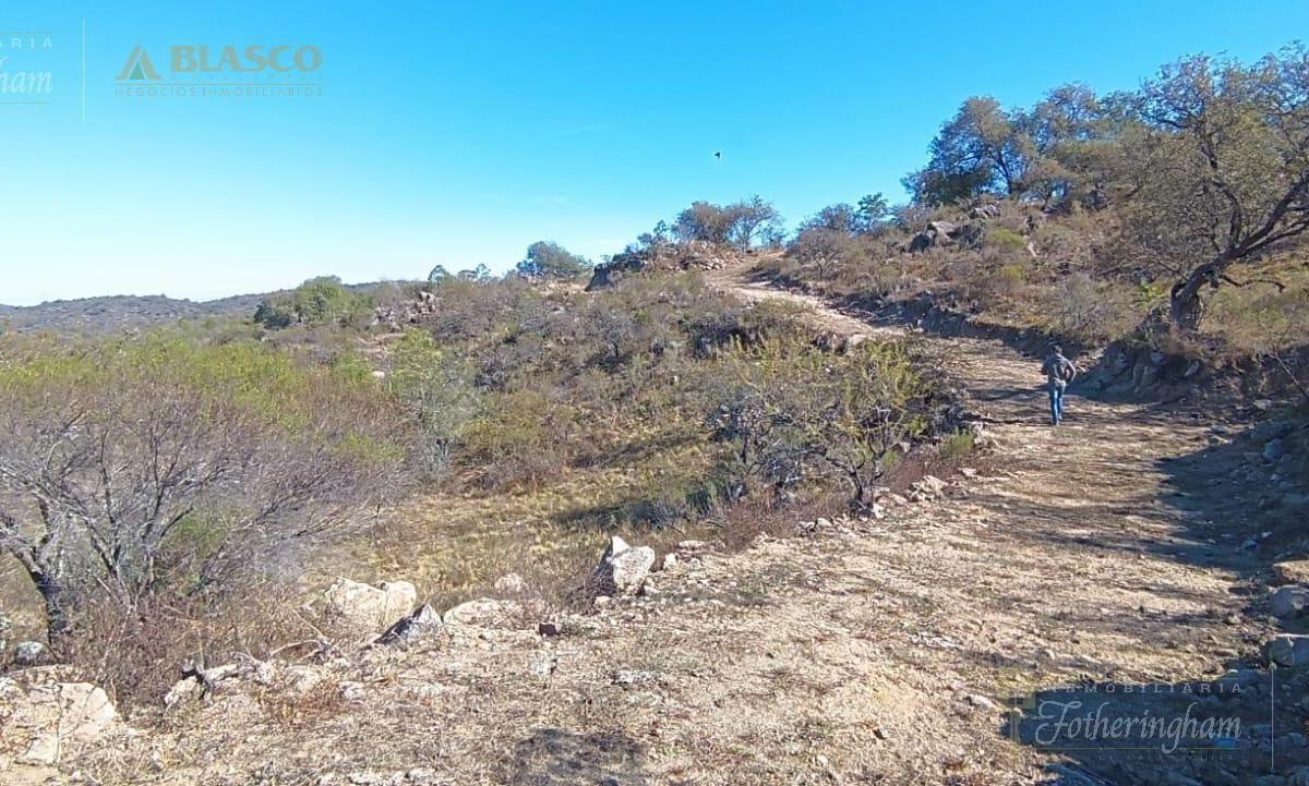 Exclusivos Lotes en Venta | Cerro Pelado | Calamuchita 2