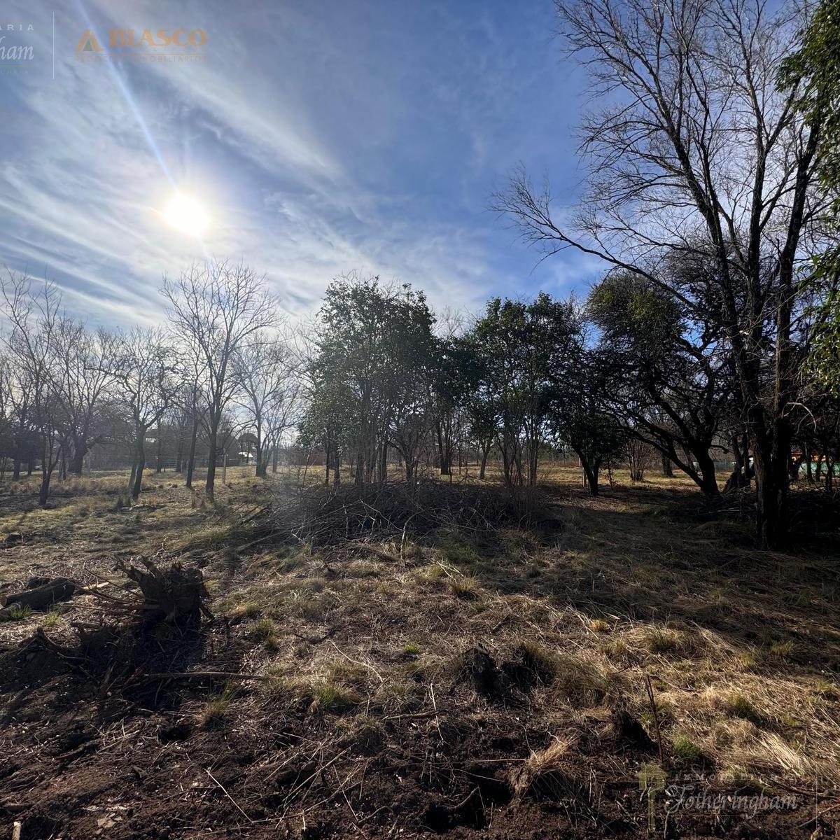 Exclusivos Lotes en Venta | Santa Rosa de Calamuchita 4