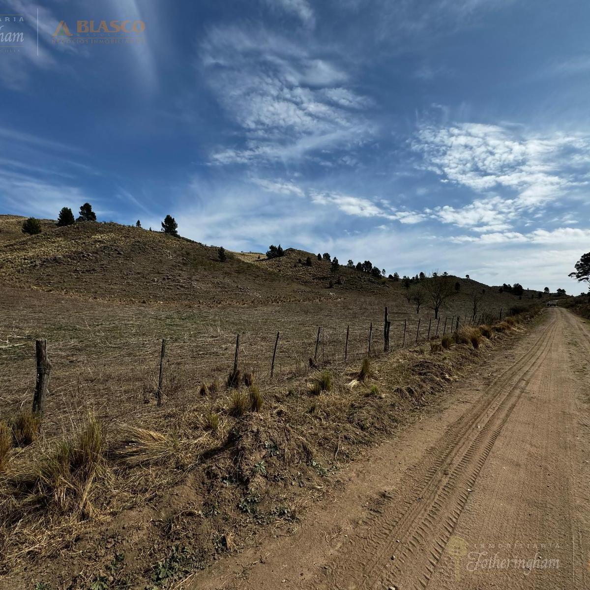 Foto de LOTES EN VENTA | VILLA CIUDAD AMERICA, imagen 2