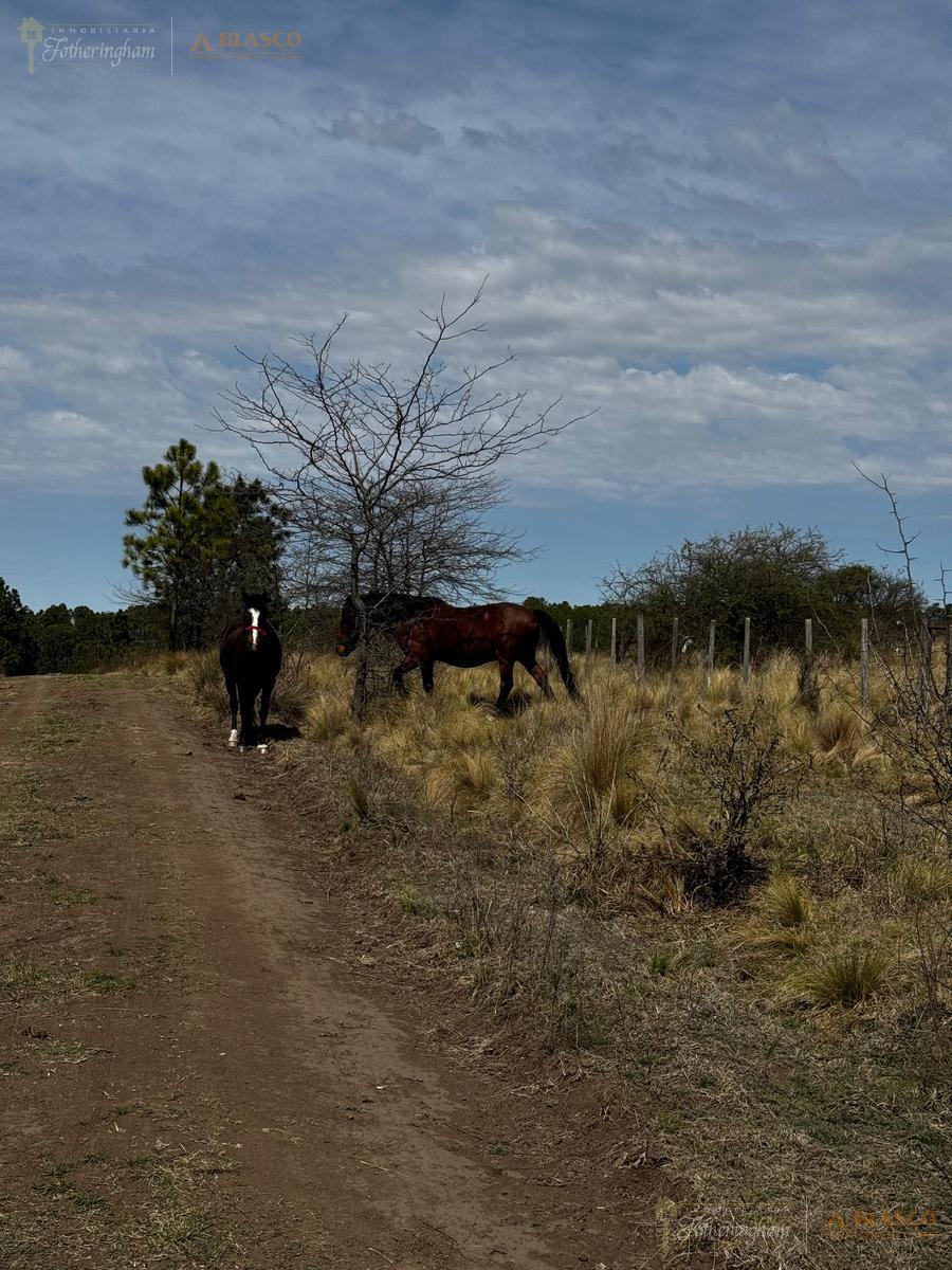 Parcelas en Venta | Yacanto | Calamuchita 4