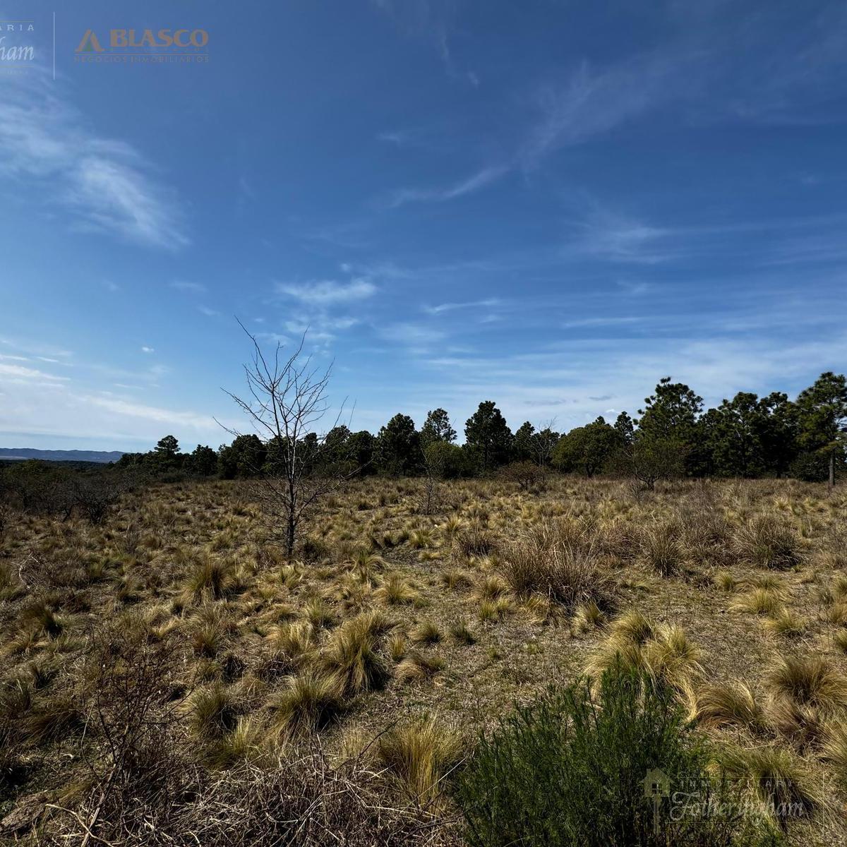 Parcelas en Venta | Yacanto | Calamuchita 1