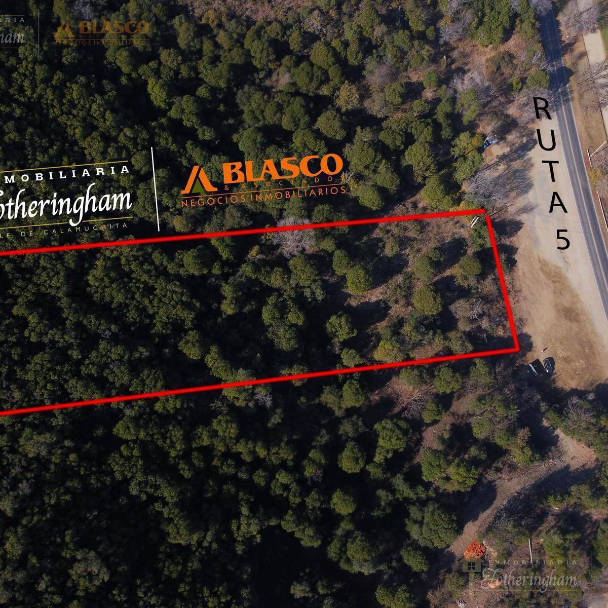 1 Hectarea en Venta Sobre Ruta N5 | Via Crucis | Santa Rosa de Calamuchita 3