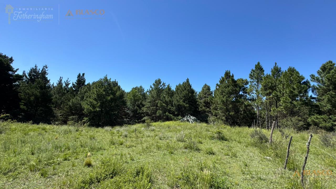 Campo en Calamuchita