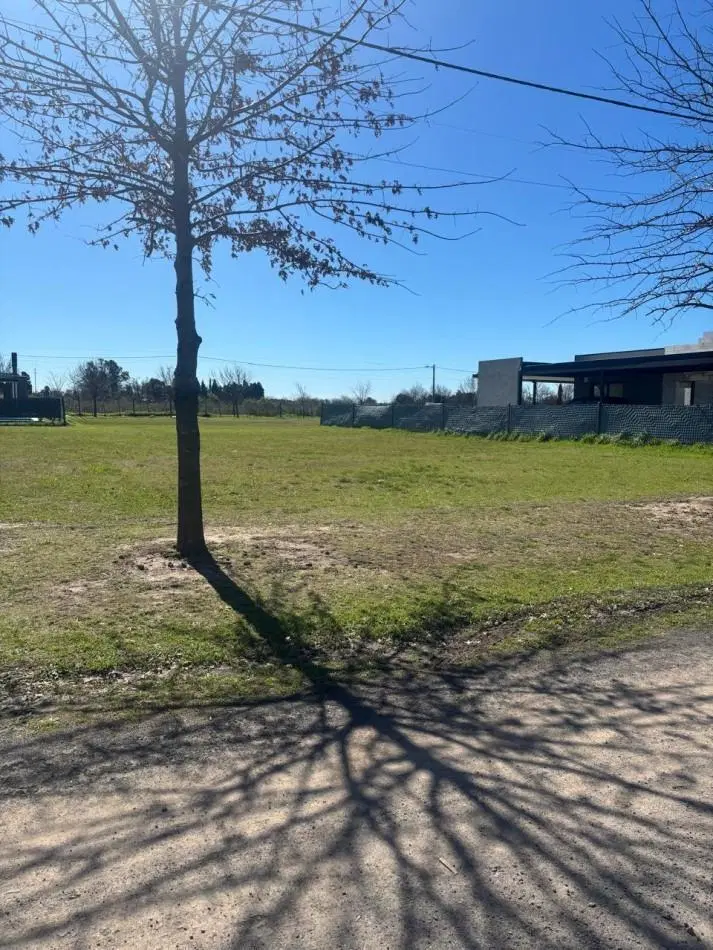 Lote en Casuarinas. 3