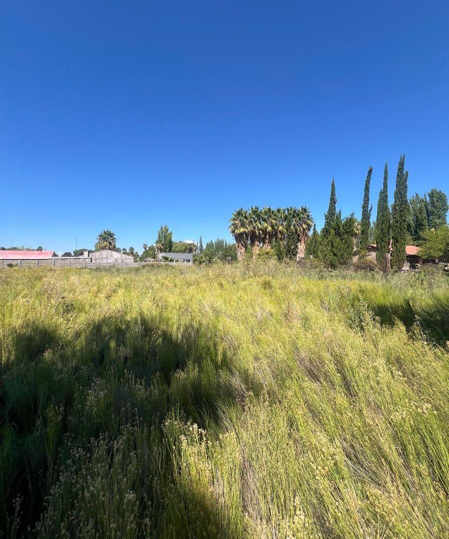 Foto de Terreno ubicado en Primavera Rodeo del medio, imagen 5