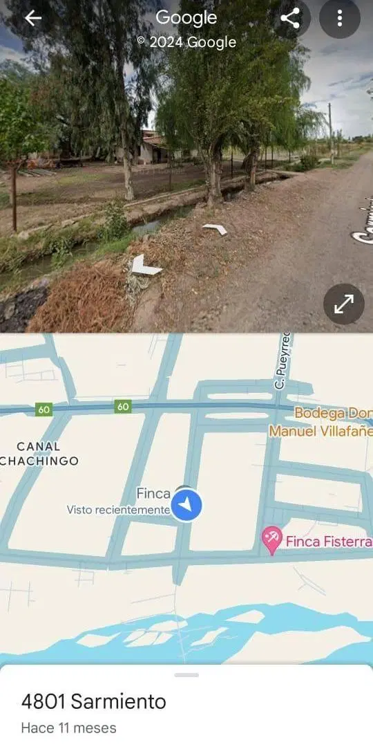 Excelente finca con plantación de olivos en venta 3