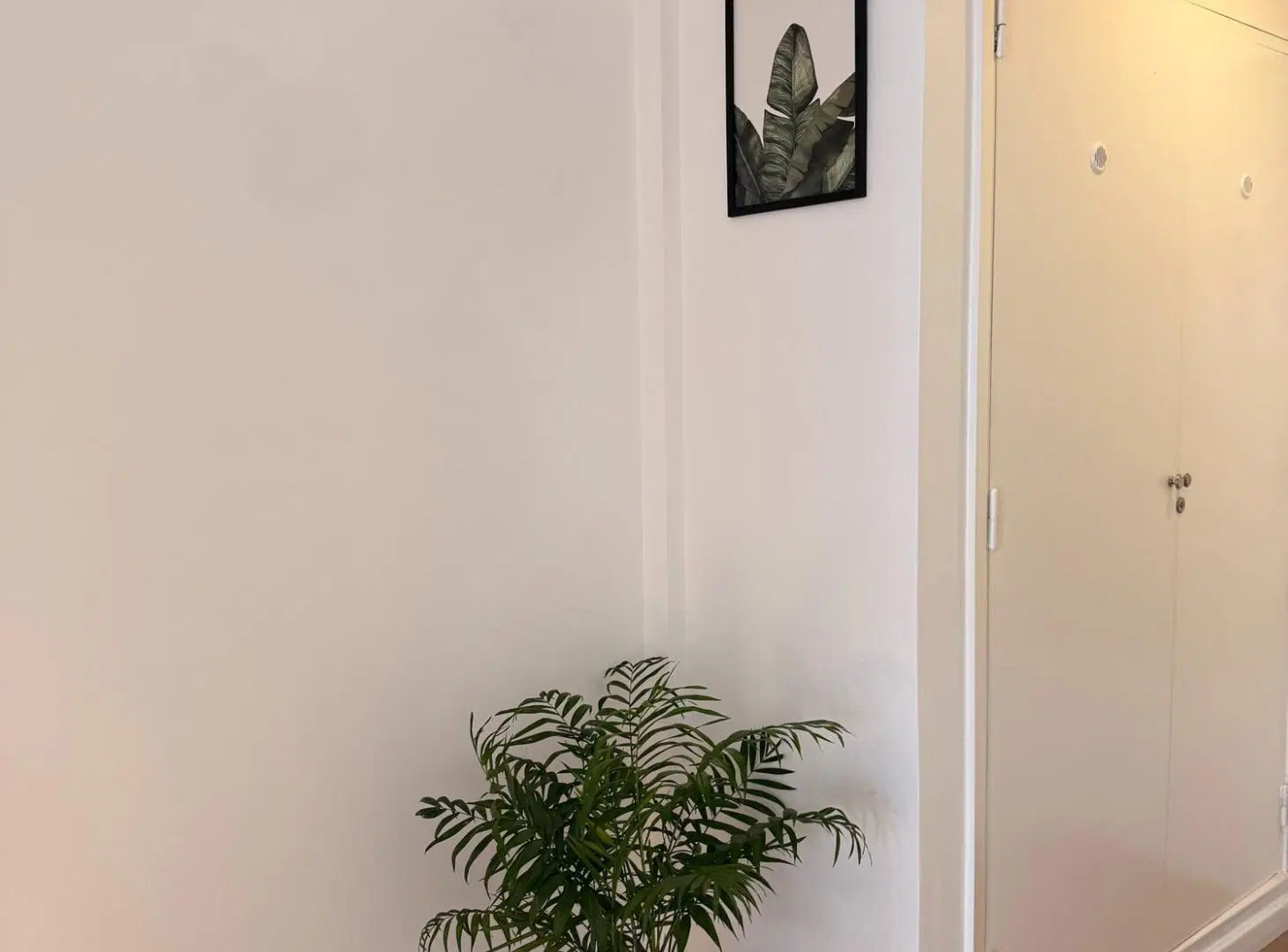 Departamento en Venta en Mar Del Plata 8
