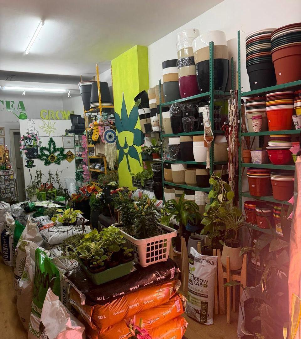 Foto de Local en venta zona Macrocentro, imagen 5