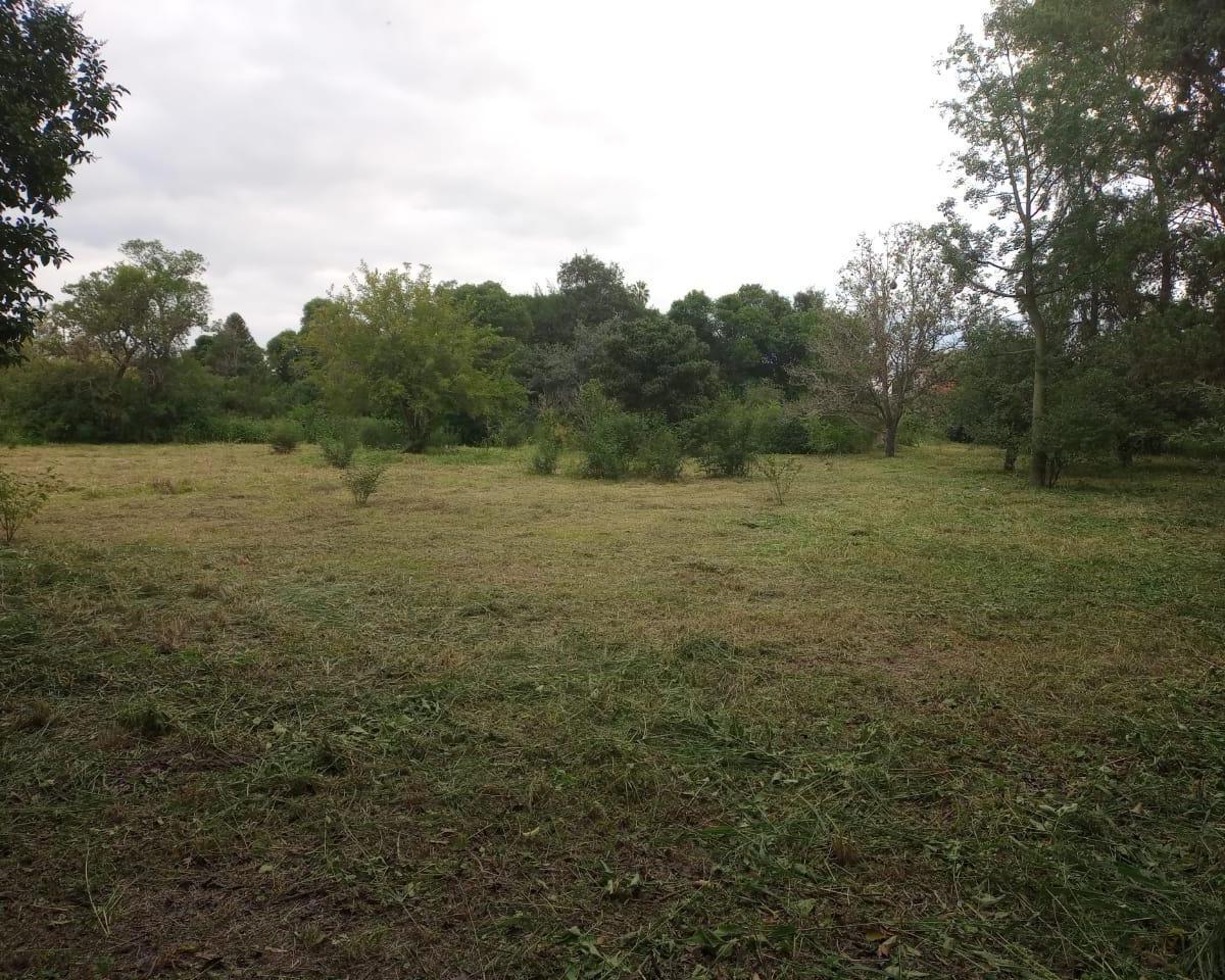 TERRENO EN VENTA