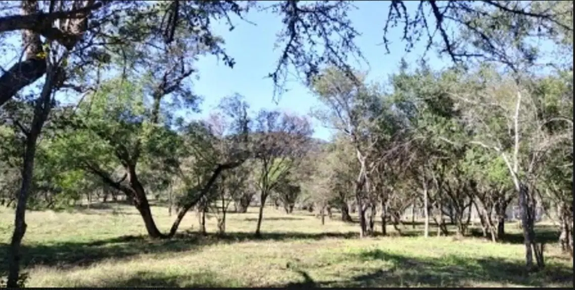 TERRENOS EN VENTA 3