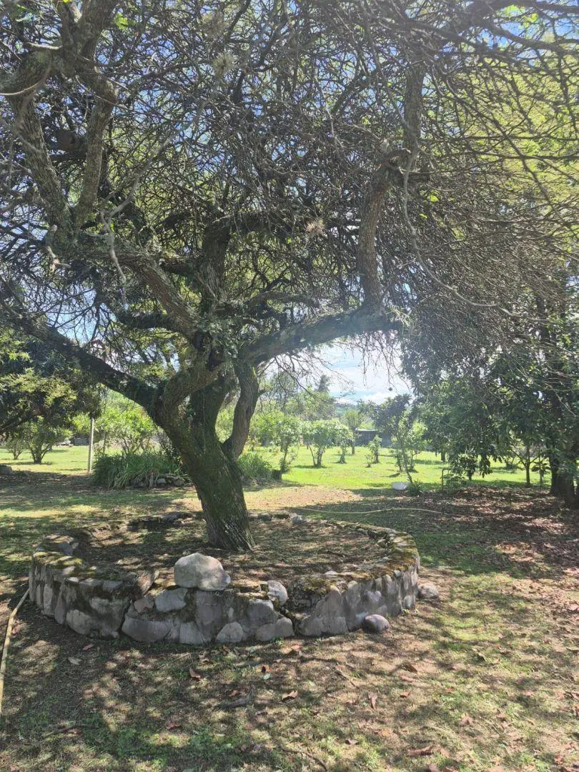 TERRENO EN VENTA 8