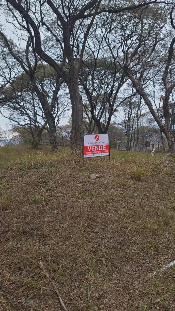 TERRENO EN VENTA 1