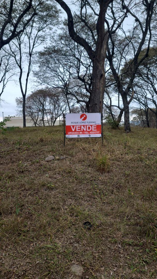 Foto de TERRENO EN VENTA, imagen 3