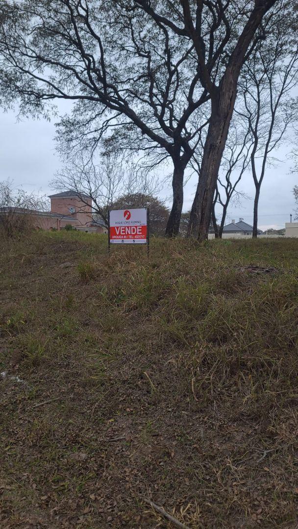Foto de TERRENO EN VENTA, imagen 2