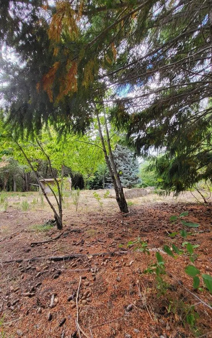Exclusivo lote en la Península de Meliquina 8