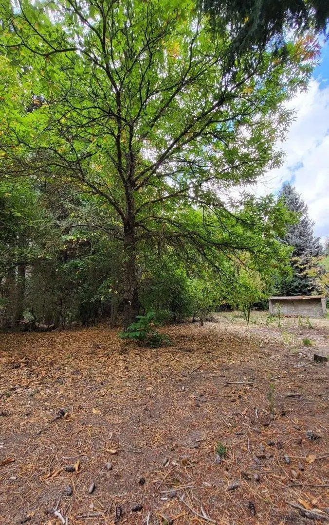 Exclusivo lote en la Península de Meliquina 3