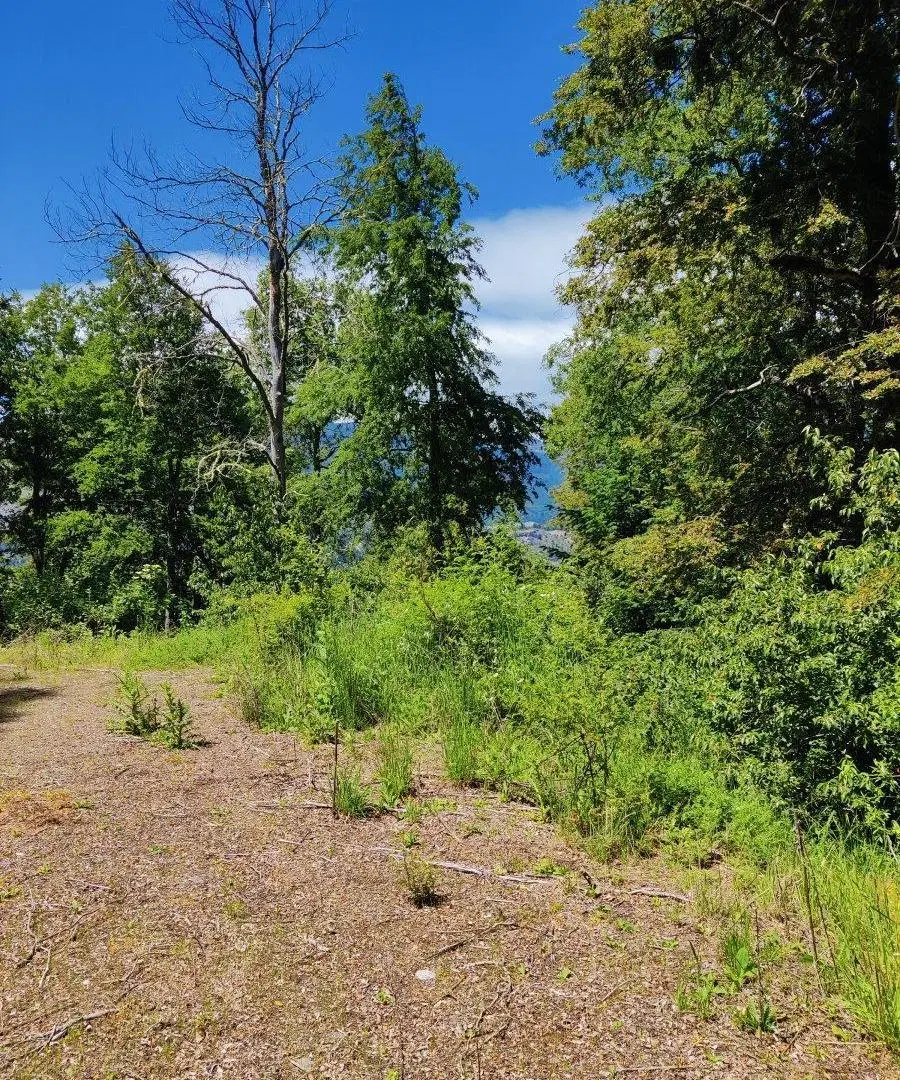 LOTE 4000 M2 - Bº LAS VERTIENTES 5
