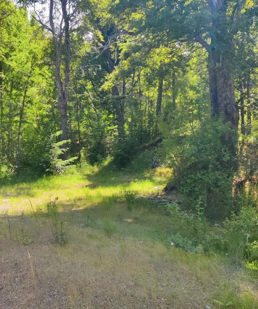 LOTE 4000 M2 - Bº LAS VERTIENTES 5
