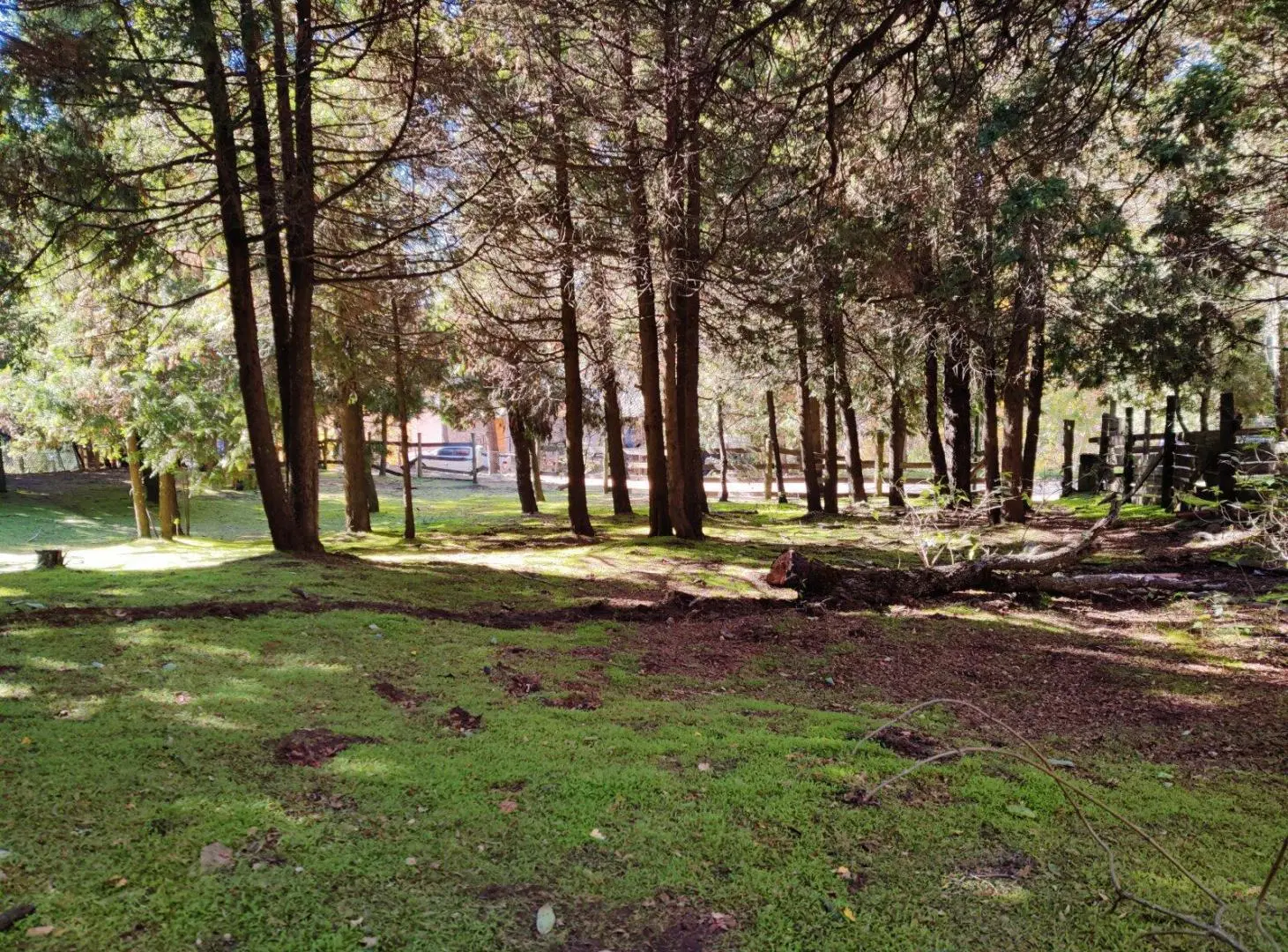 Excelente terreno en el barrio abierto sin expensas Los Riscos 4