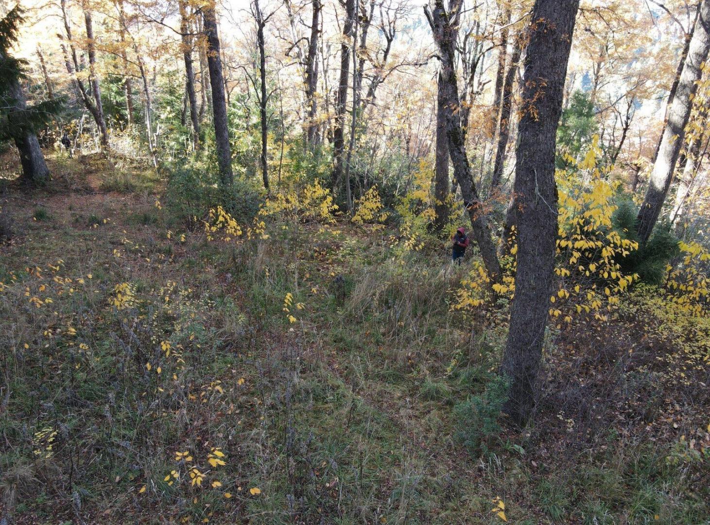 Foto de Terreno en Los Robles, imagen 1