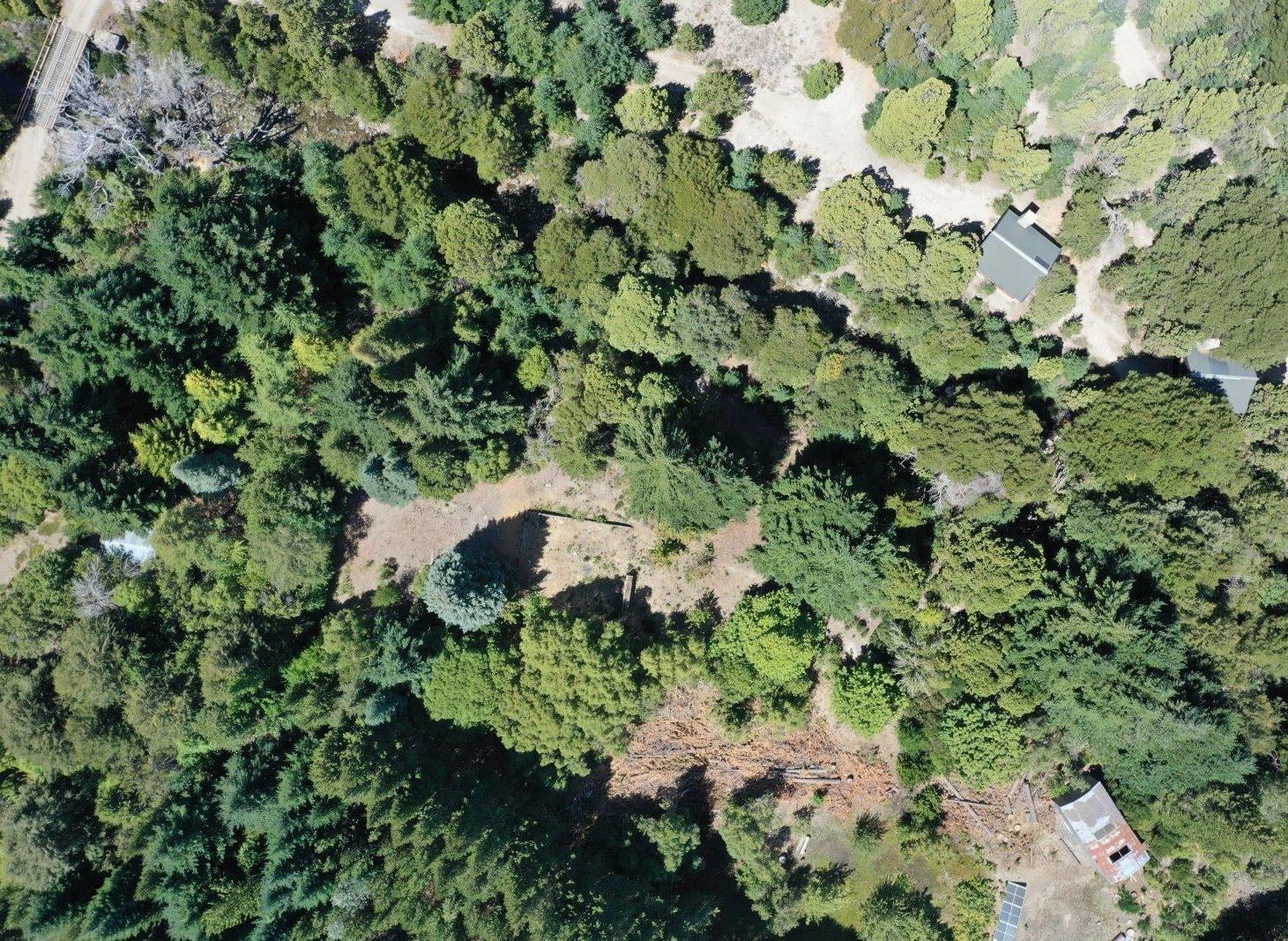 Foto de Exclusivo lote en la Península de Meliquina, imagen 4
