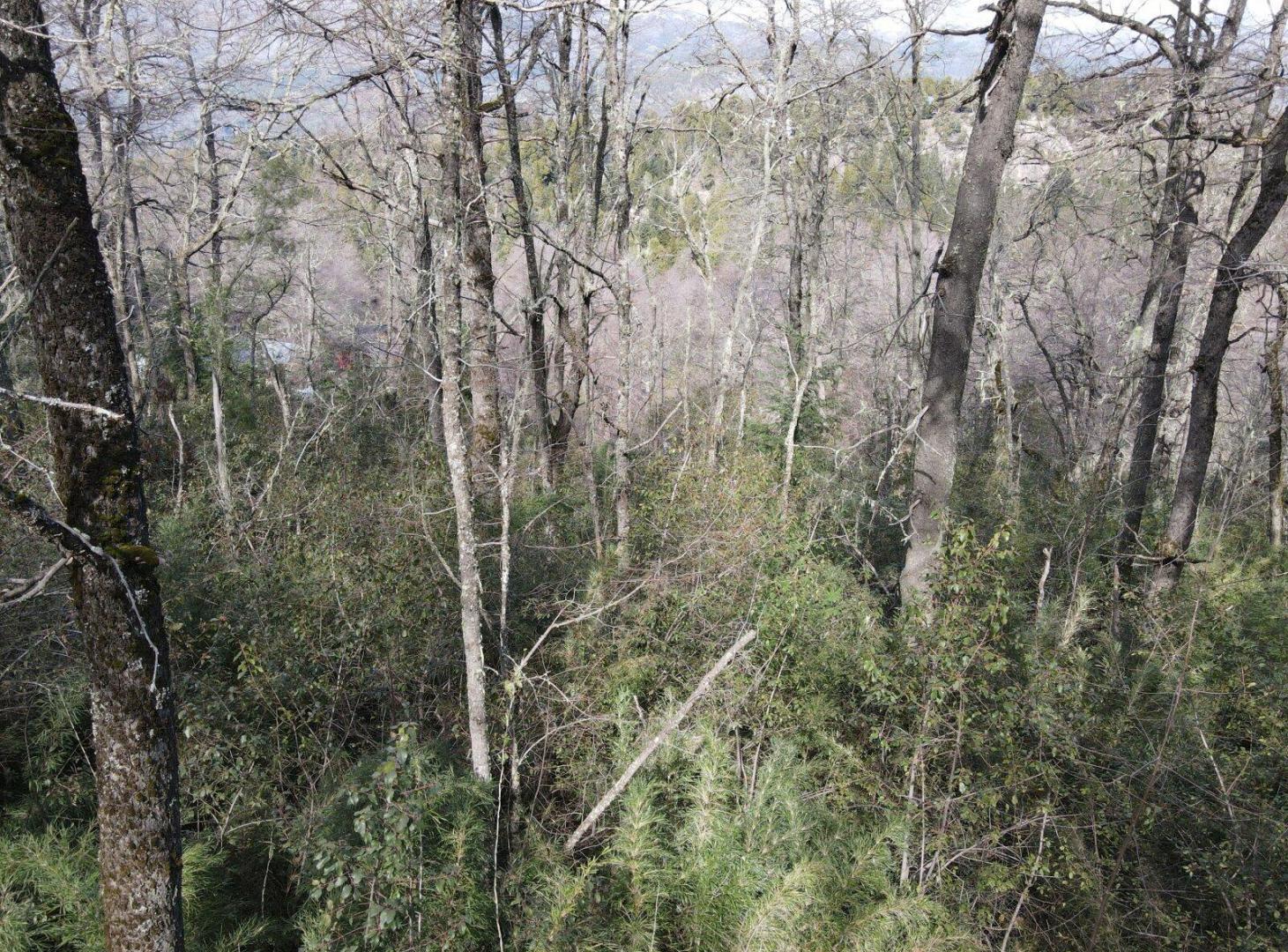 Foto de TERRENO Bº Los Robles - Los Raulies 400, imagen 5