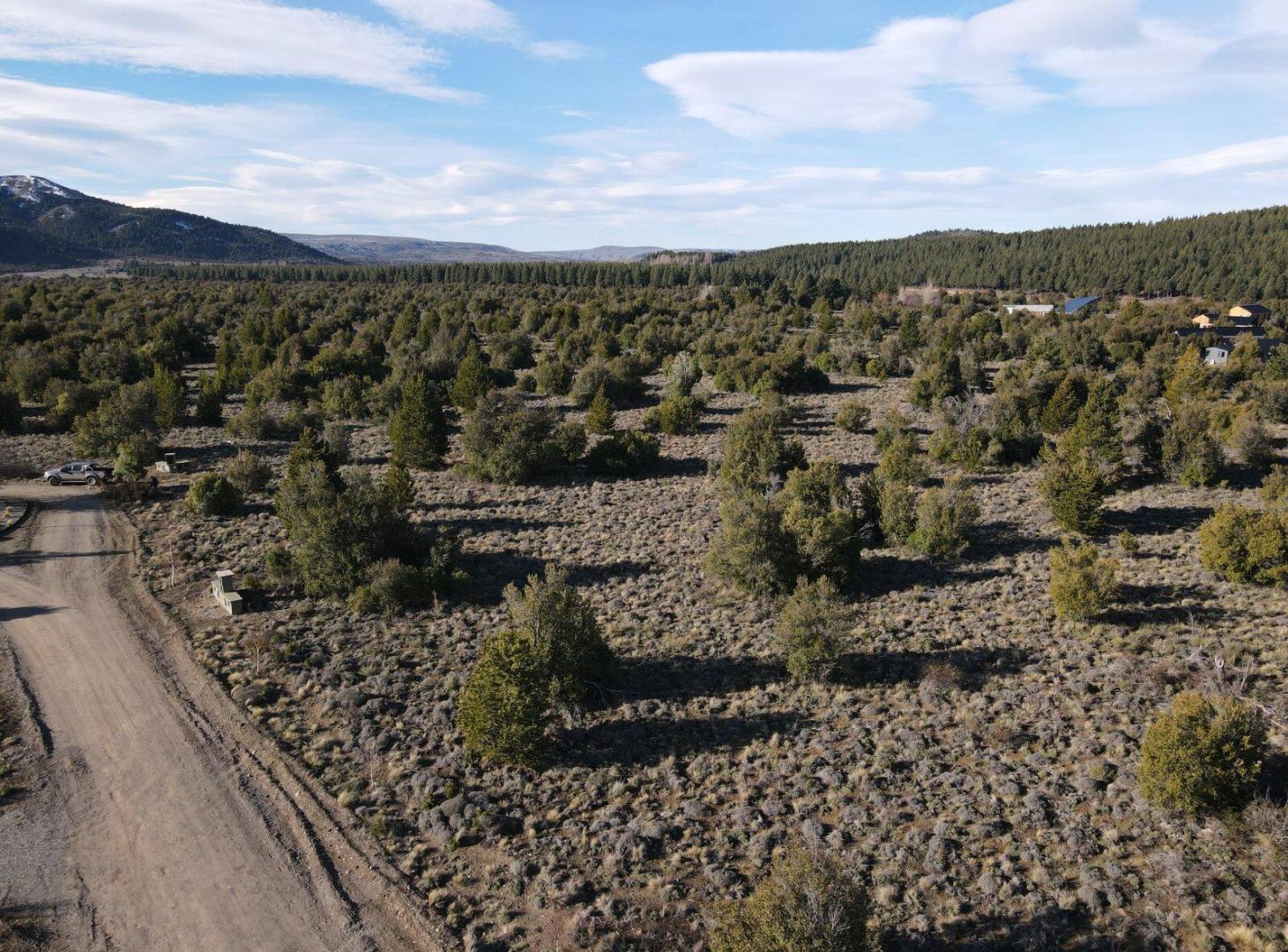 Foto de LOTE 4.512 M2 - Bº EL PEGUAL - SAN MARTIN DE LOS ANDES, imagen 4
