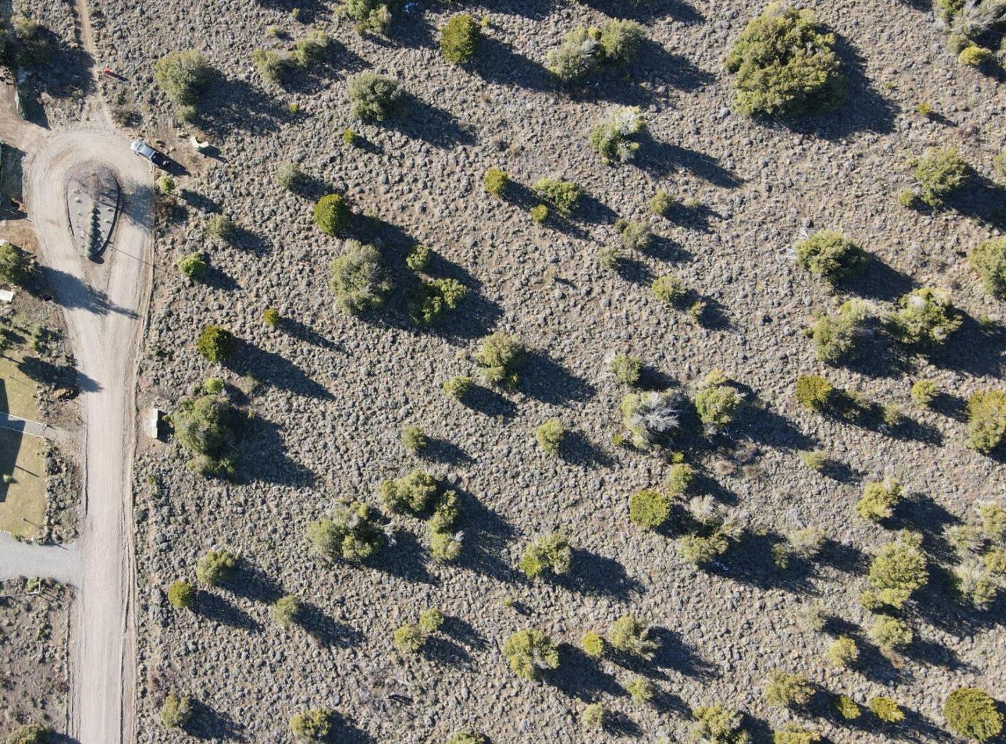 Foto de LOTE 4.512 M2 - Bº EL PEGUAL - SAN MARTIN DE LOS ANDES, imagen 3
