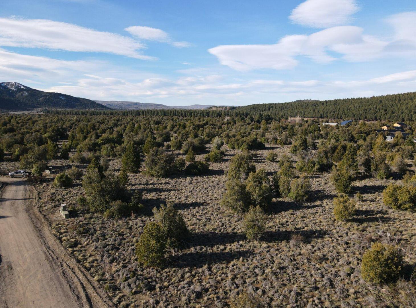 Foto de LOTE 4.512 M2 - Bº EL PEGUAL - SAN MARTIN DE LOS ANDES, imagen 5