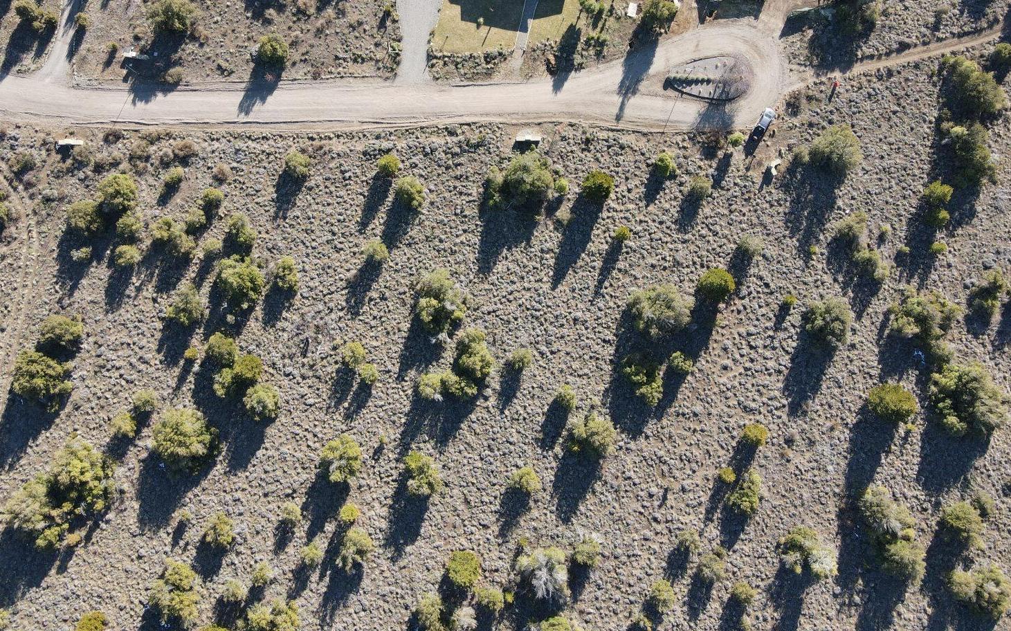 Foto de LOTE 4.512 M2 - Bº EL PEGUAL - SAN MARTIN DE LOS ANDES, imagen 1