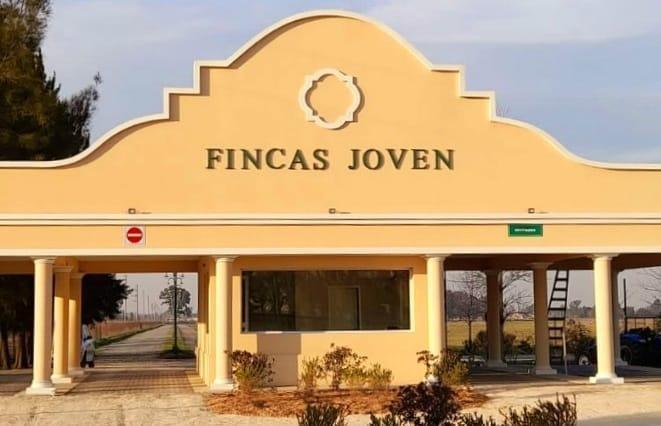 Foto de VENTA - Lotes internos en Fincas Joven, imagen 4
