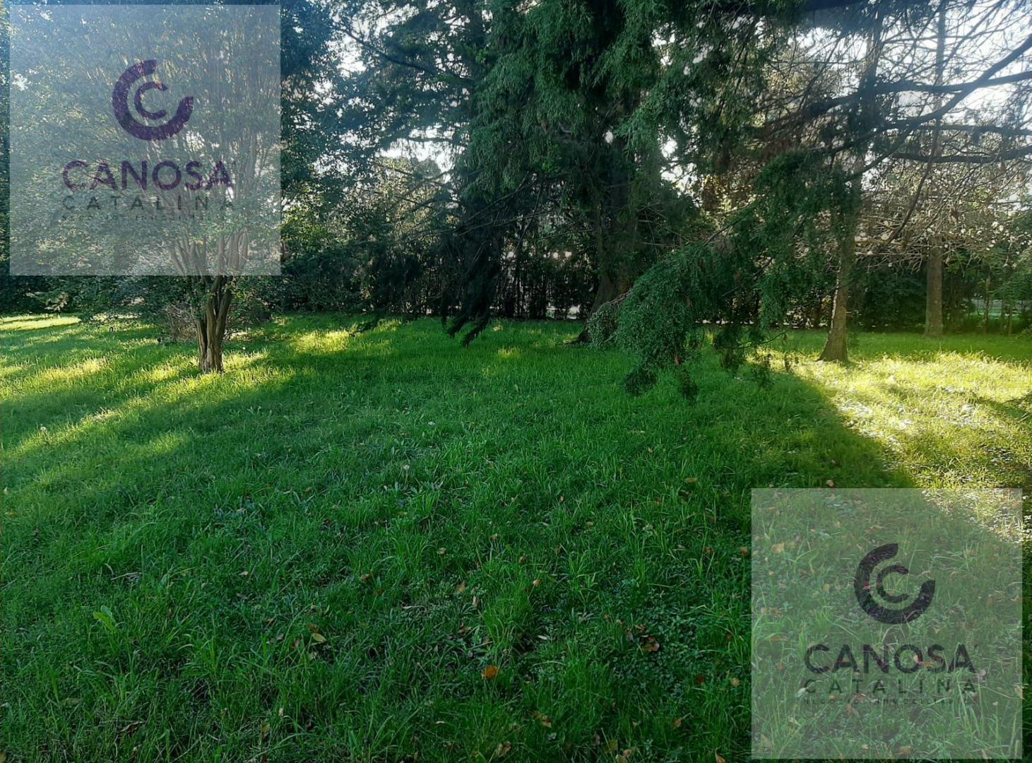 Foto de VENTA/ Alquiler Comercial - Quinta en Canning, imagen 5