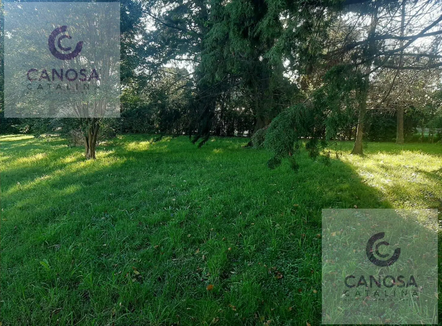Alquiler Comercial - Quinta en Canning 5