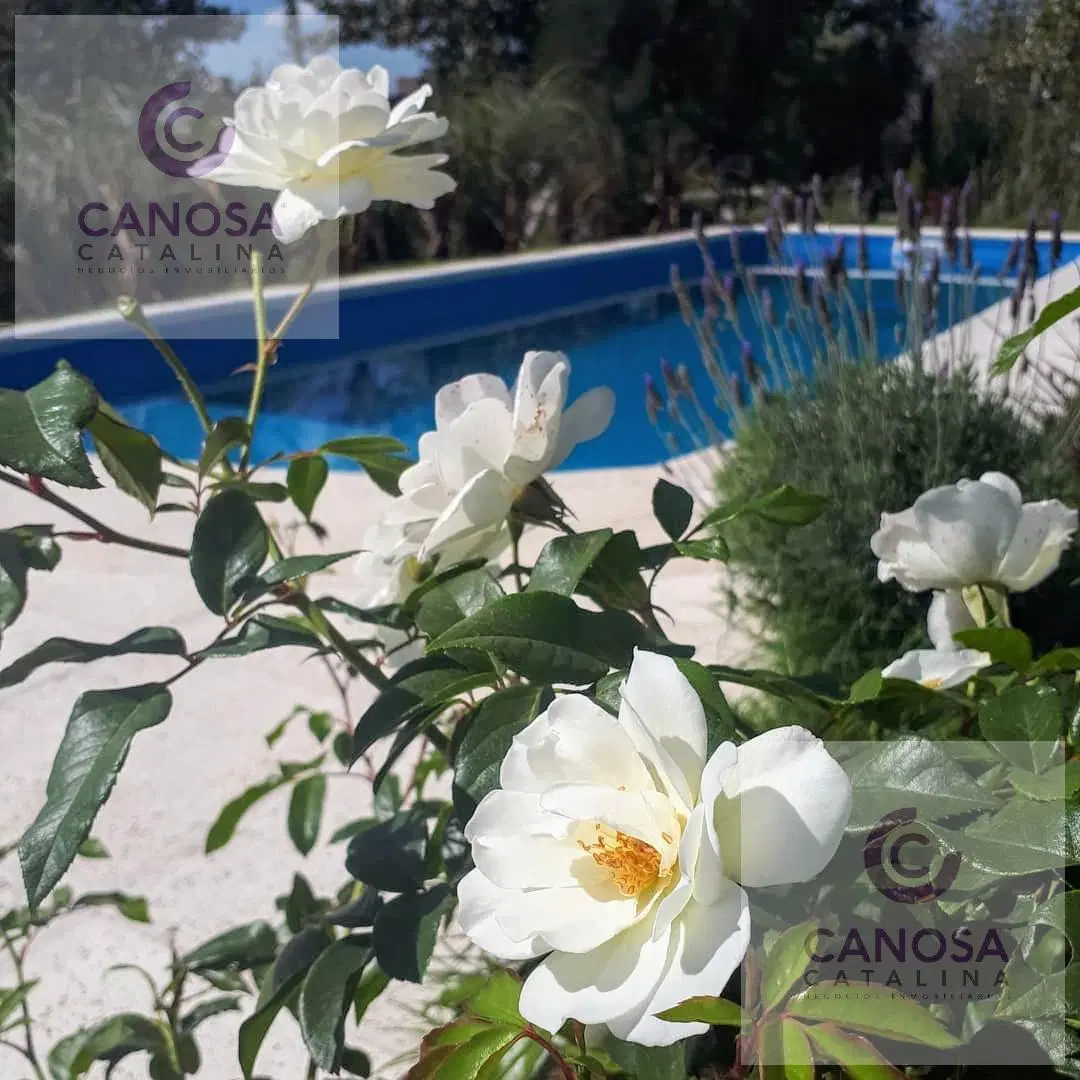 VENTA - Casa en Domselaar Chico 3