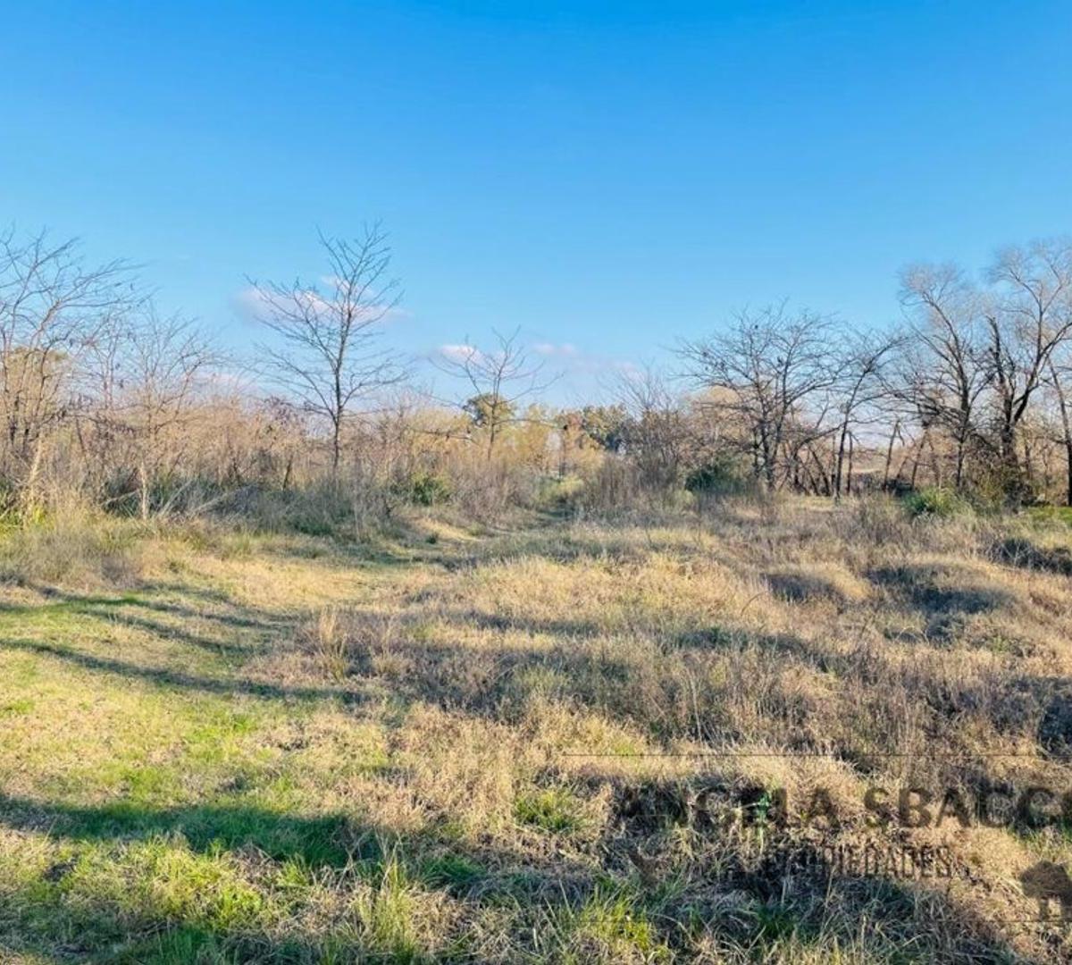 Foto de Hermoso Campito de dos hectareas., imagen 4