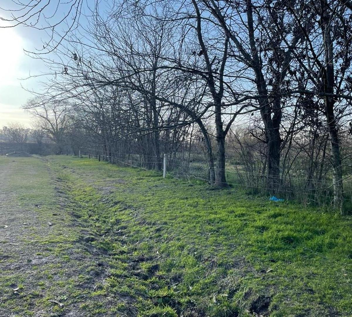 Foto de Hermoso Campito de dos hectareas., imagen 2