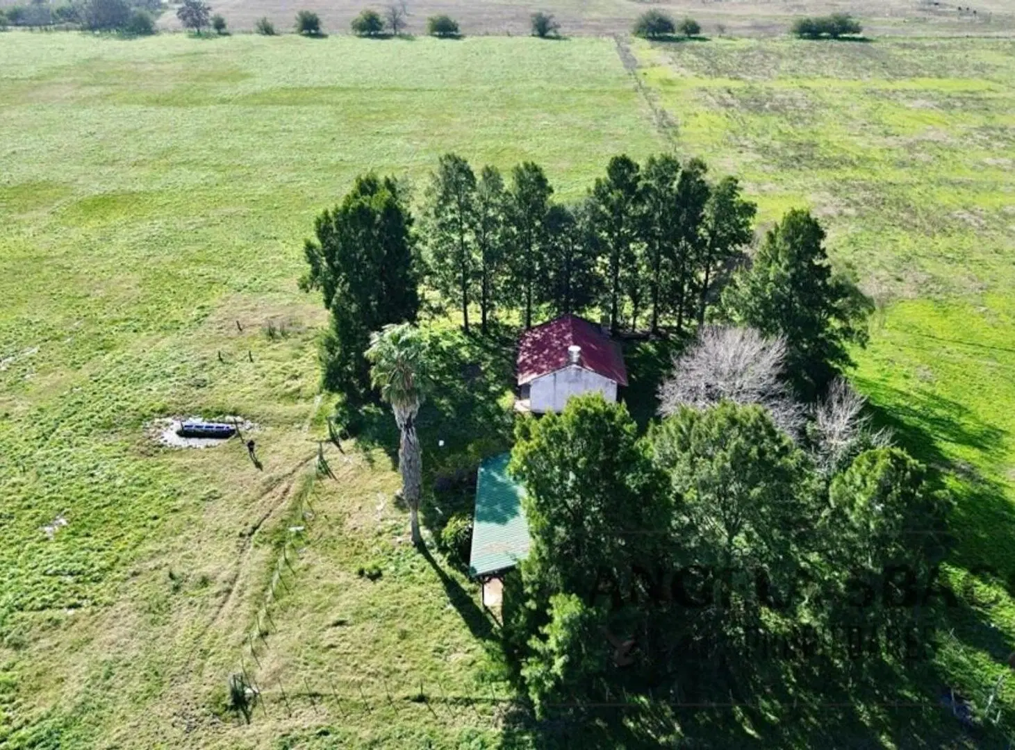 Excelente Campo ganadero/agrícola En Plomer. 4
