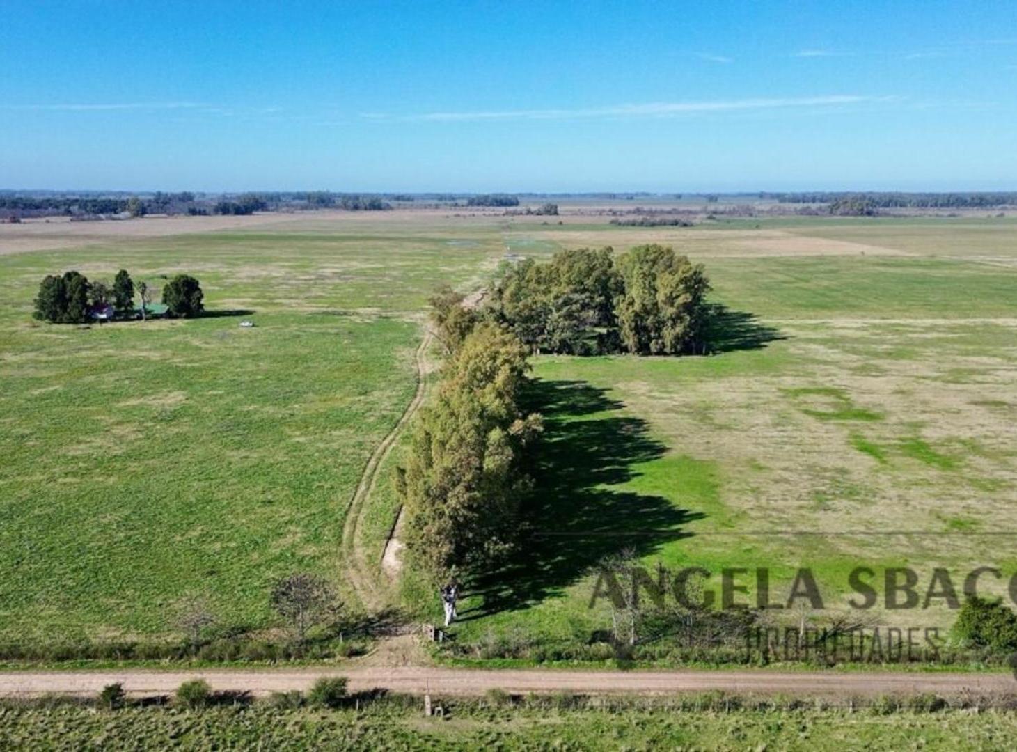 Excelente Campo ganadero/agrícola En Plomer.