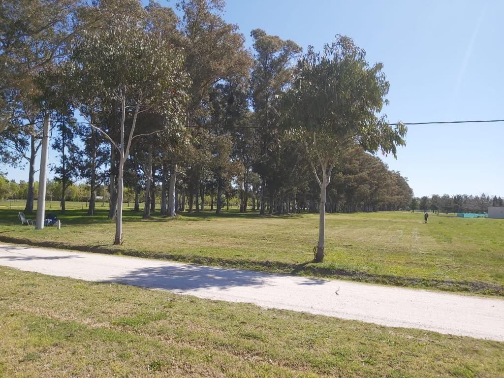 PROPIEDAD SUSPENDIDA Lote . | Ruta 2 Km 65
