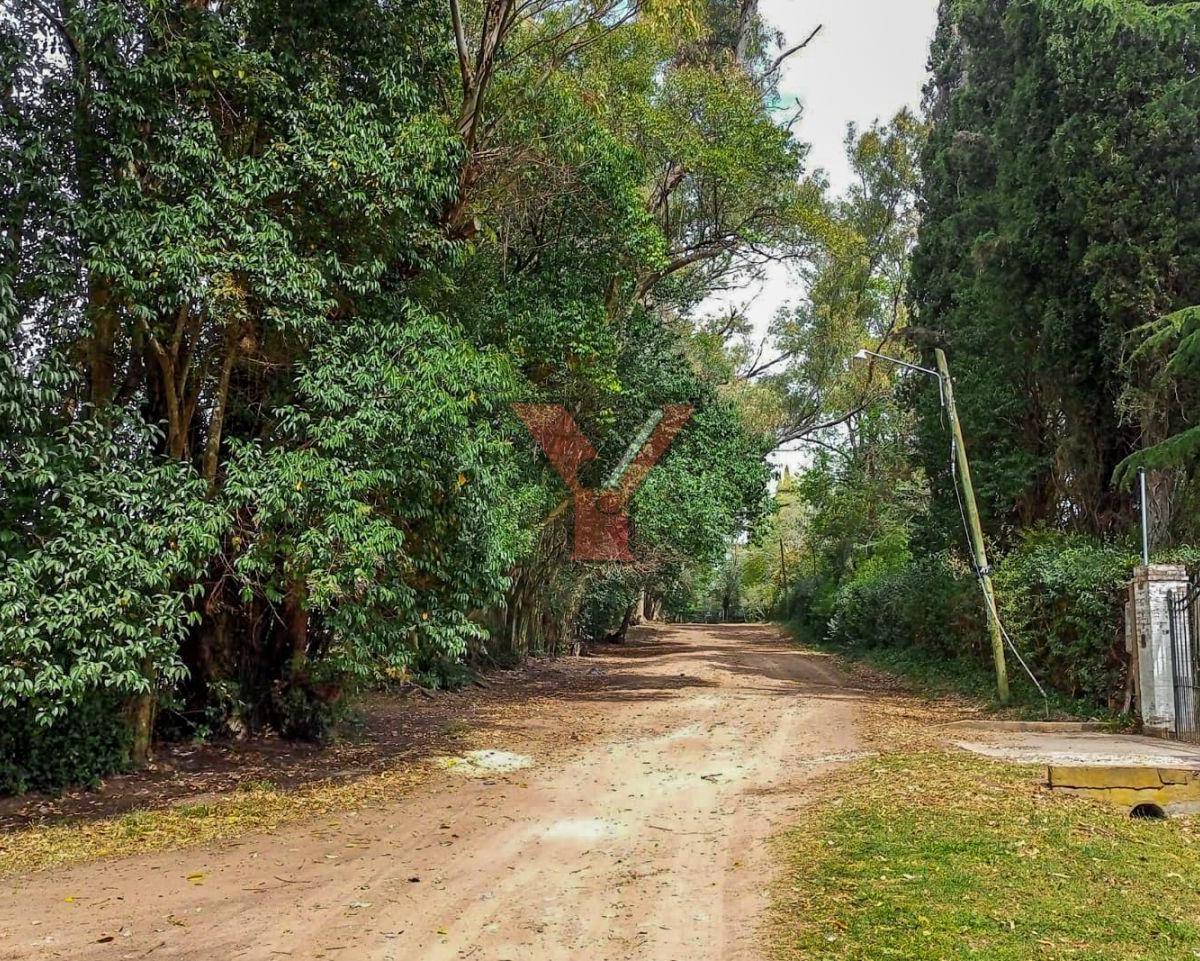 LOTE EN VENTA - EXCELENTE UBICACION - VILLA ELISA