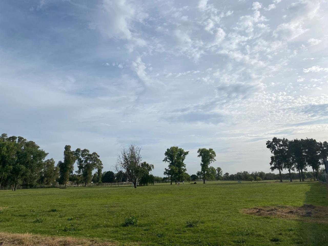 Foto de LOTES EN VENTA, imagen 1