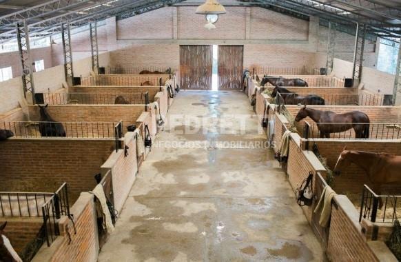 Foto de Terreno en Venta en Campo Privado El Metejón, Vicente Casares, Cañuelas, imagen 5