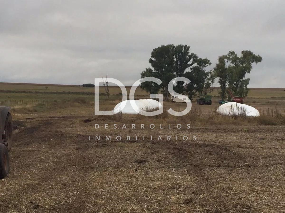 Lote de Terreno en Venta en Gualeguay, Entre Ríos 5