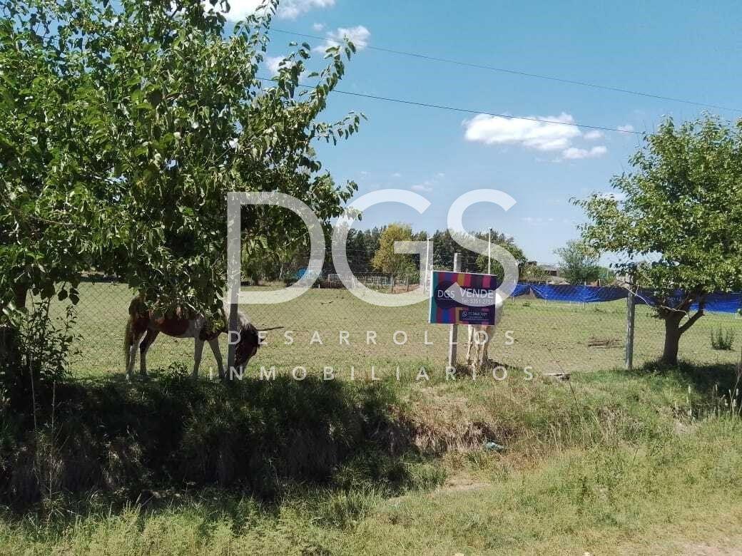 Terreno Lote en Venta en Cañuelas 5