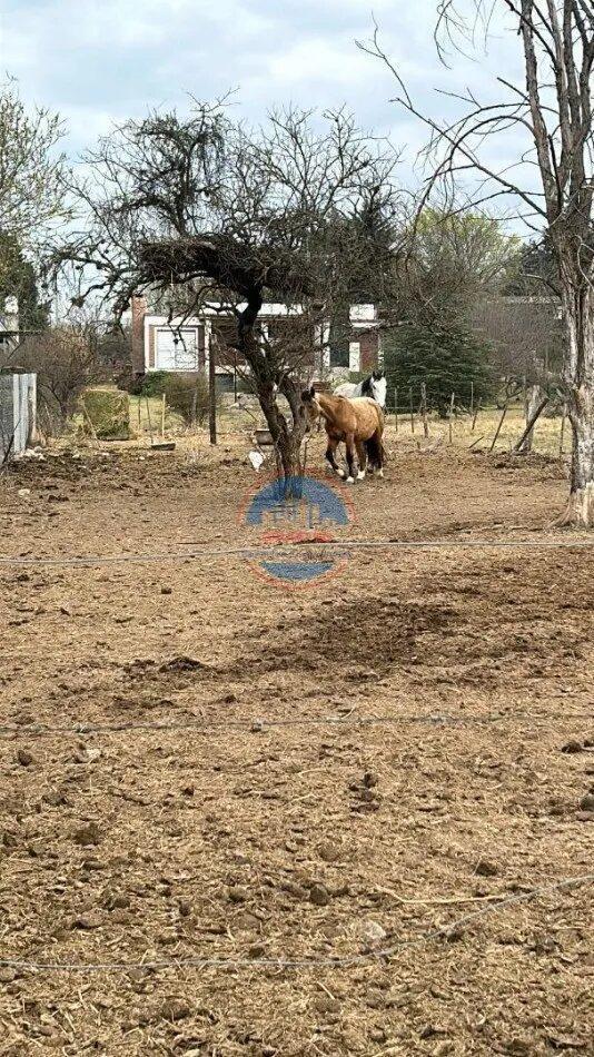 Foto de Terreno En Venta Con Escritura - Potrero De Garay., imagen 1