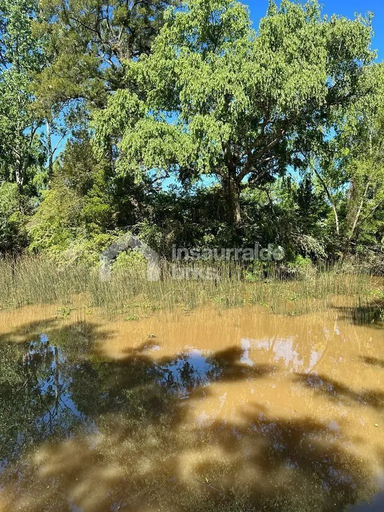 2 Terrenos - Lotes en Venta arroyo  Toro, Zona Delta, Tigre oportunidad 4